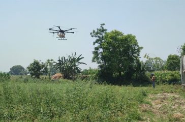 Dron in agriculture