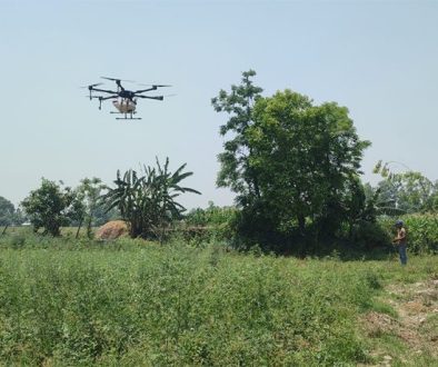 Dron in agriculture