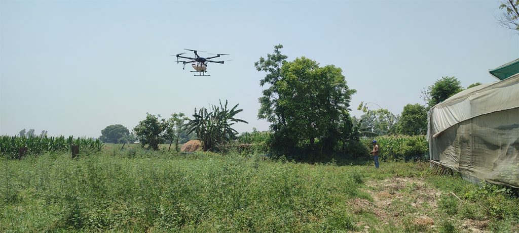 Dron in agriculture