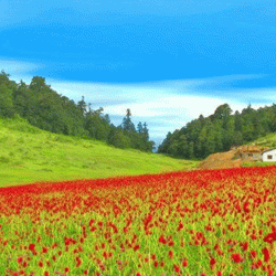 Khaptad-national-park-views