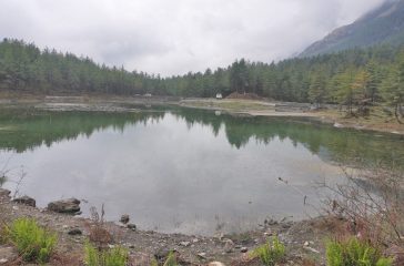 Sekung-taal-mustang