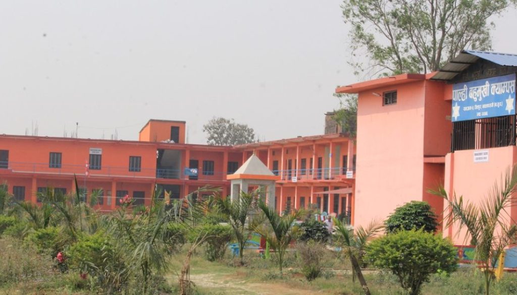 palhi college