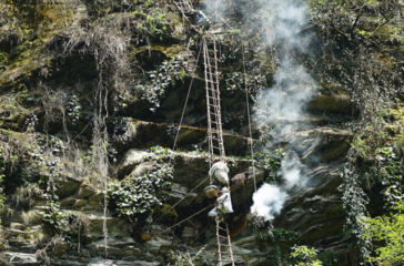 honeyhunting