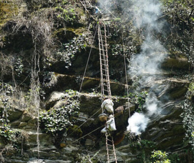 honeyhunting