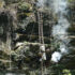 honeyhunting