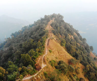 mangsebung-ghorle-bhir