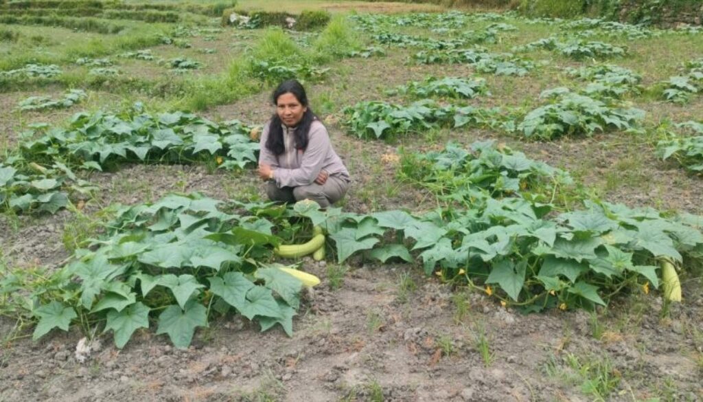 फलेवास नगरपालिकाका उपप्रमुख शोभाकुमारी क्षेत्री