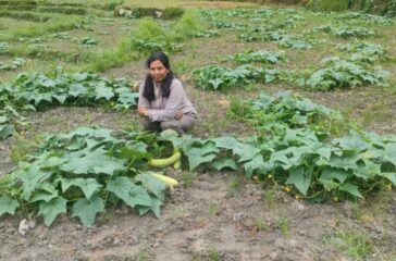 फलेवास नगरपालिकाका उपप्रमुख शोभाकुमारी क्षेत्री