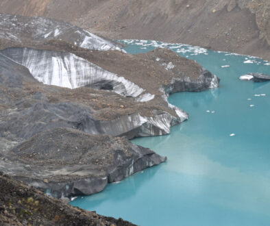 KK_BENI_DSC_0276