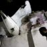 air-india-plane-crash