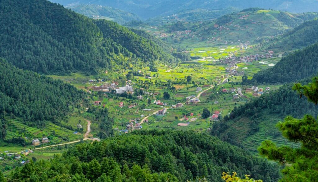 chitlang_SAL1 chitlang_SAL1