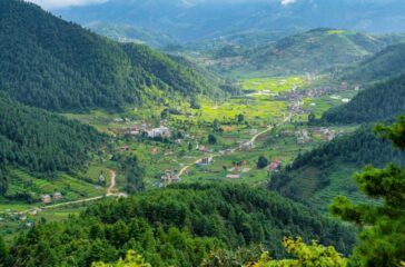 chitlang_SAL1