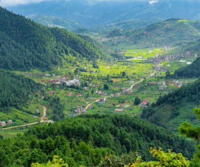 chitlang_SAL1