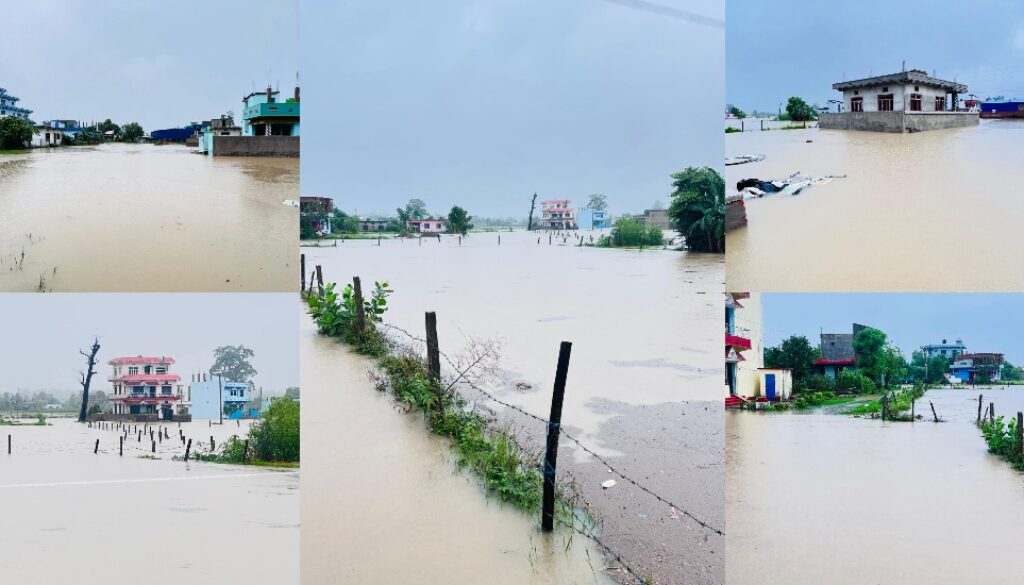 dhangadhi duban dhangadhi duban