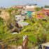homestay palpa