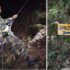 jamacho treacking