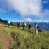 mundhum trail