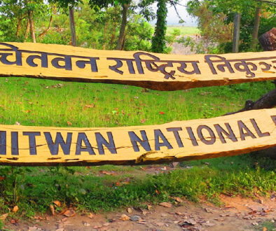 Chitawan national park