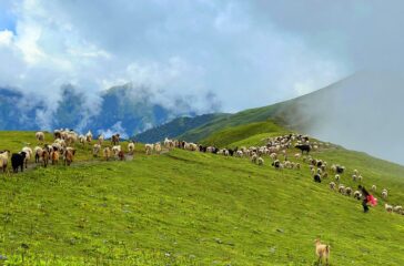 bukipatan-baglung