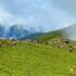 bukipatan-baglung
