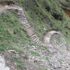 dhaulagiri-padmarga