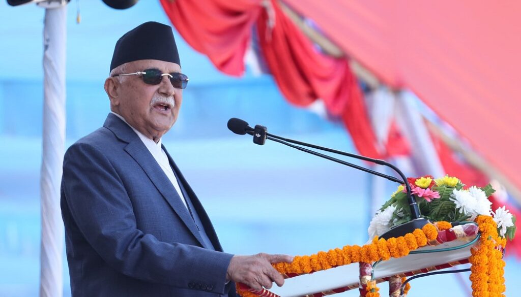 kp-oli-
