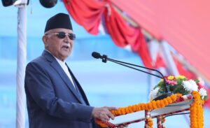 kp-oli-