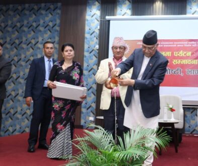 kp oli