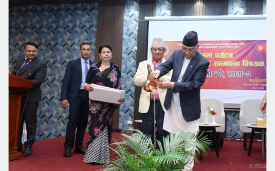 kp oli