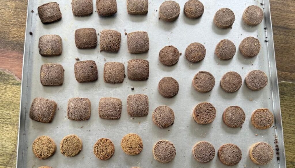 Kodo-ko-biskut Kodo-ko-biskut