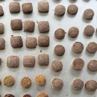 Kodo-ko-biskut