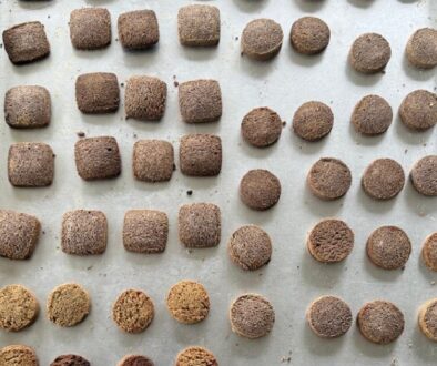 Kodo-ko-biskut