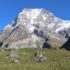 api-himal