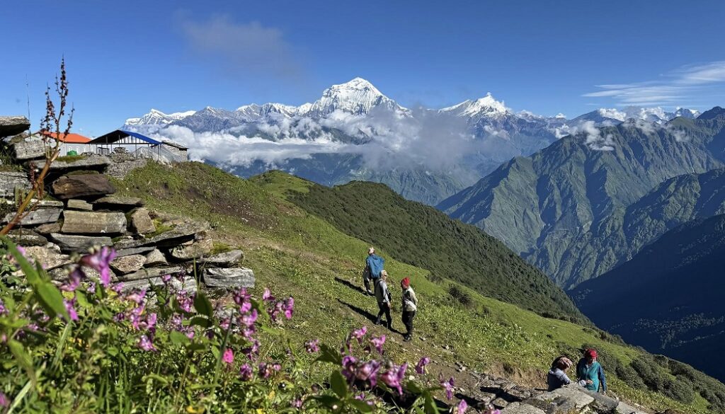 dhaulagiri-mountain