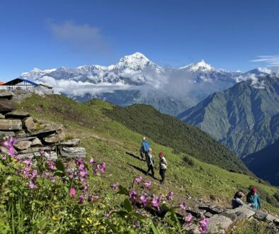 dhaulagiri-mountain