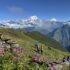 dhaulagiri-mountain