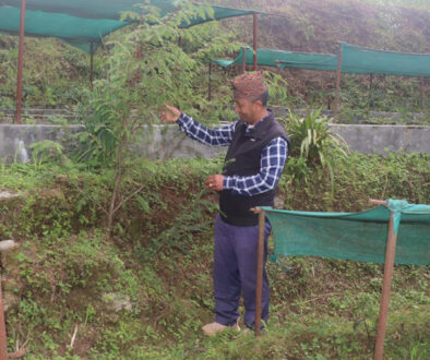 jadibuti_kheti