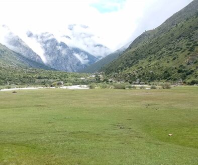 mugum-gaupalika