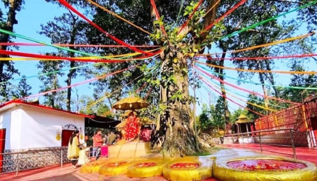pau-pathivara pau-pathivara