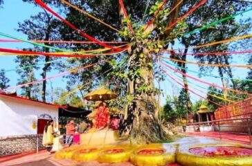 pau-pathivara