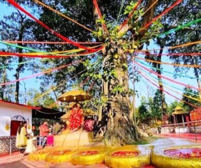 pau-pathivara