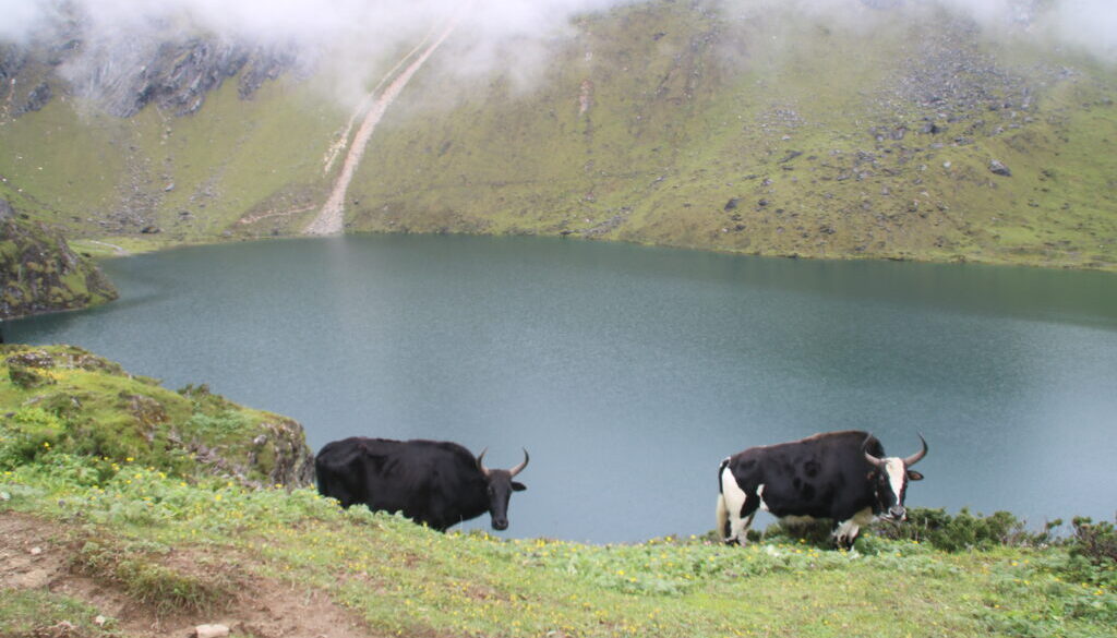 taplejung gufa