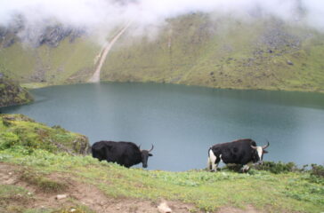 taplejung gufa