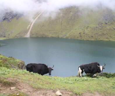 taplejung gufa