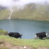 taplejung gufa