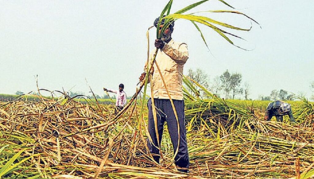 ukhu-kisan ukhu-kisan