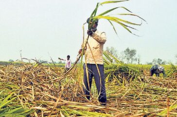 ukhu-kisan