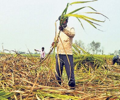 ukhu-kisan