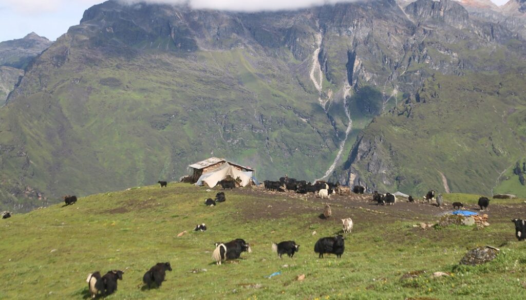 yak-taplejung