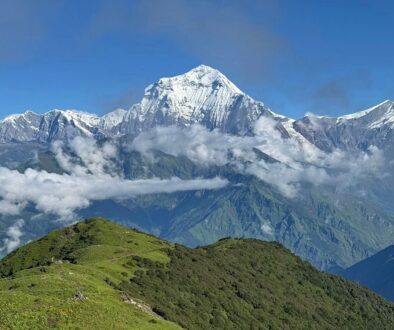Dhaulagiri-Himal view